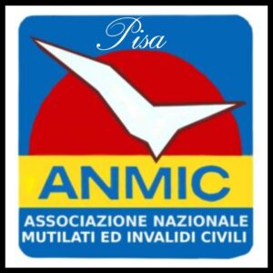 logo anmic